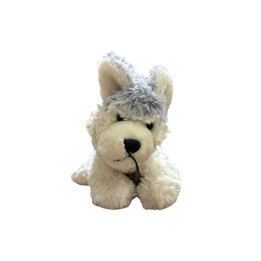 Husky