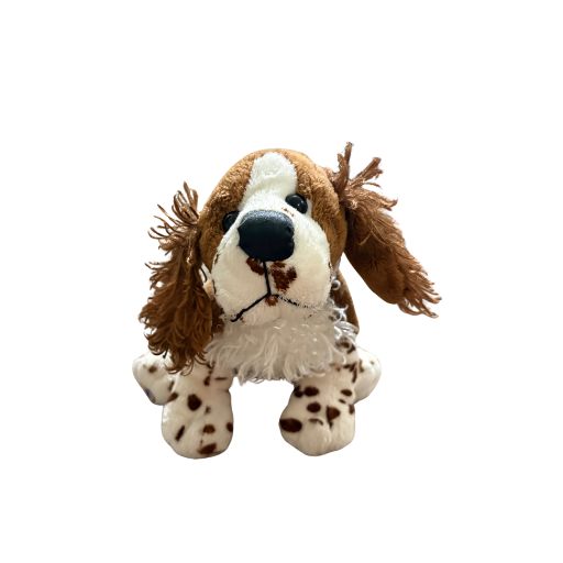 Springer Spaniel