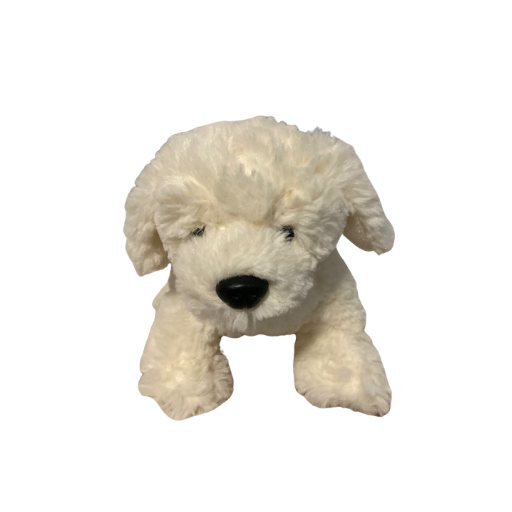 English Cream Retriever