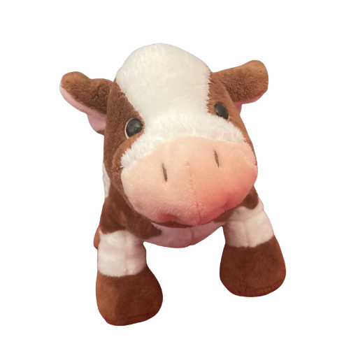 Chocolate Milk Cow