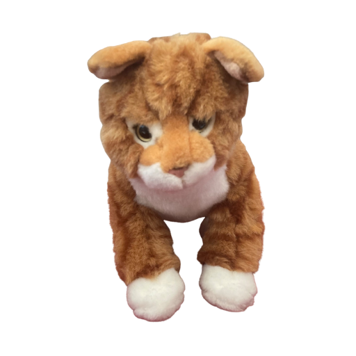 Signature Orange Tabby
