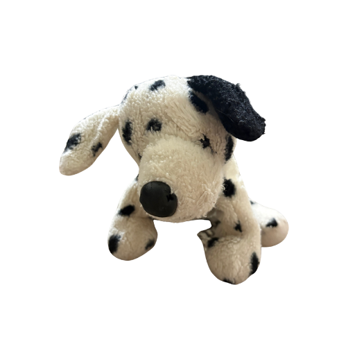 Dalmatian