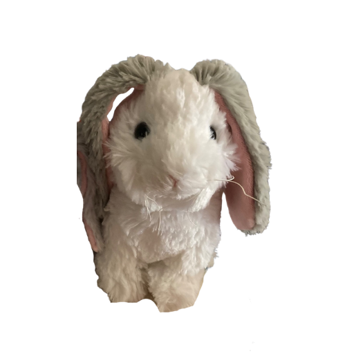 Hoppy Floppy Bunny