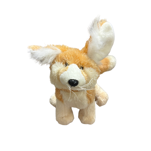 Fennec Fox