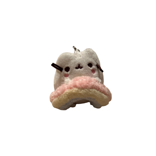 White Pusheen with Rainbow Keychain