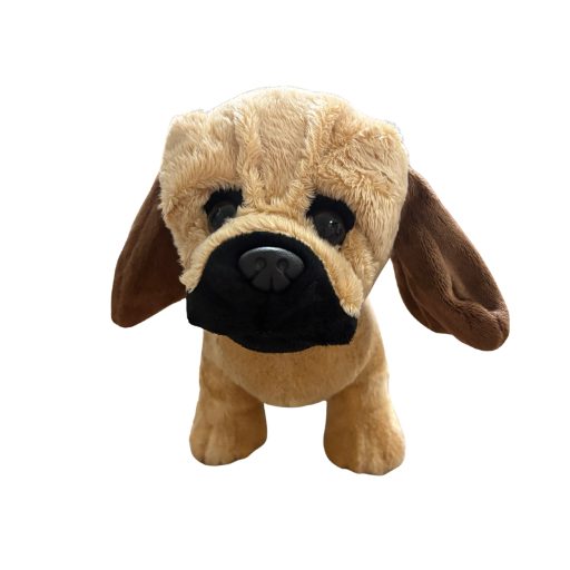 Puggle Puppy