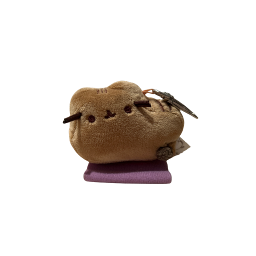Brown Cat on Book Keychain
