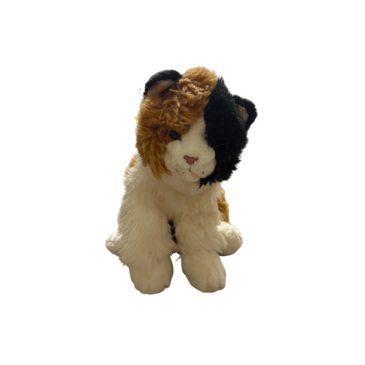Signature Calico Cat