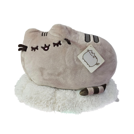 Pusheen Dreaming on Cloud