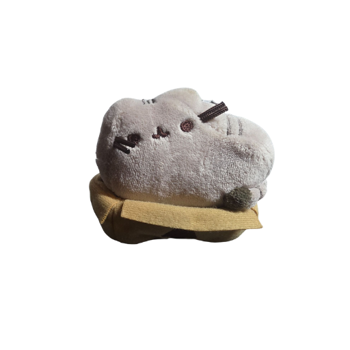 Pusheen in Box Keychain