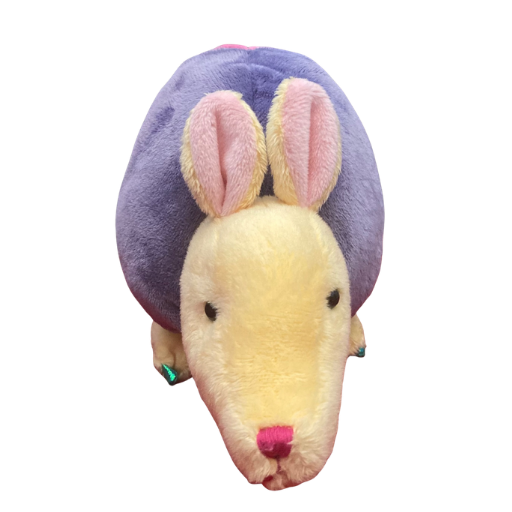 Rainbow Armadillo