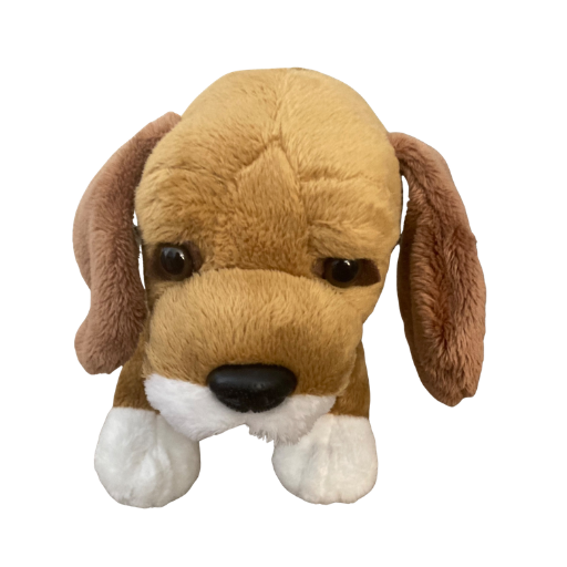 Cinnamon Beagle