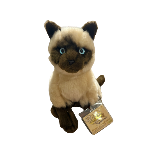 Signature Siamese Cat