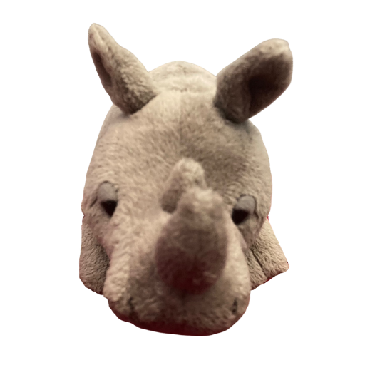 African Black Rhino