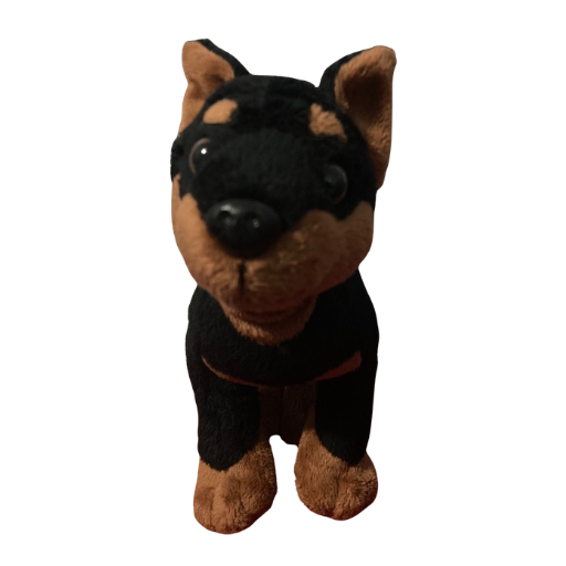 Mini Pinscher Dog