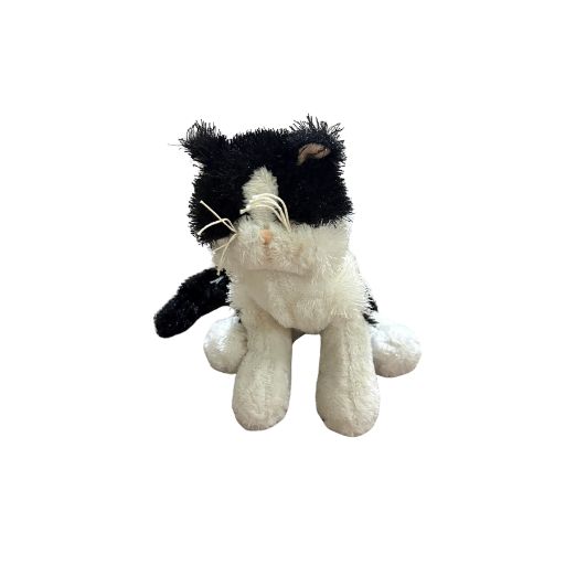 Lil'Kinz Black and White Cat