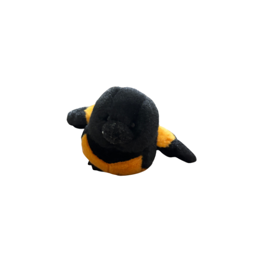Lil'Kinz Oriole