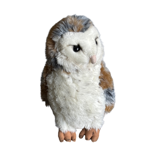 Signature Barn Owl