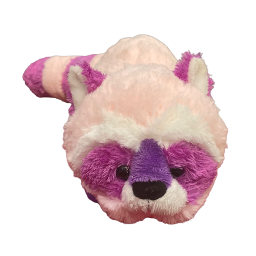 Raccutie