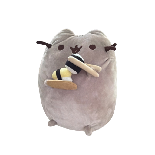 Sushi Pusheen
