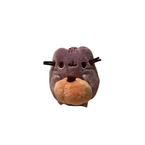 Pusheen with Pumpkin Keychain