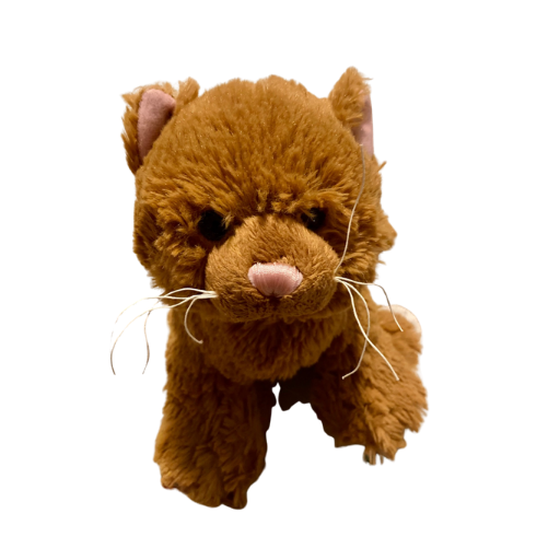 Sweet Spice Cat