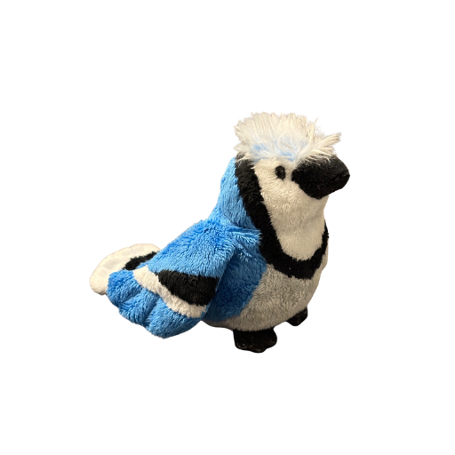 Lil'Kinz Blue Jay