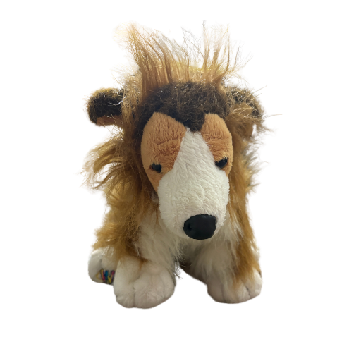Collie