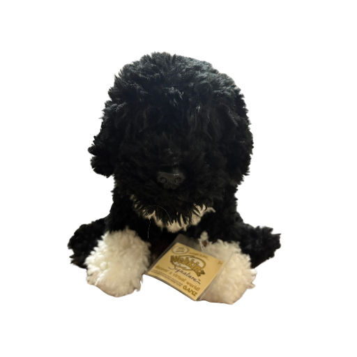 Signature Portuguese Water Dog