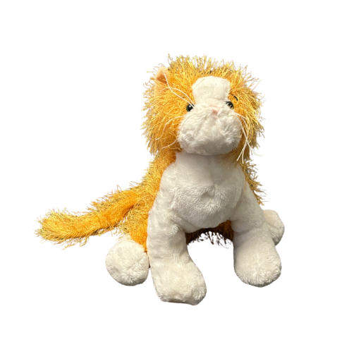 Gold and White Cat