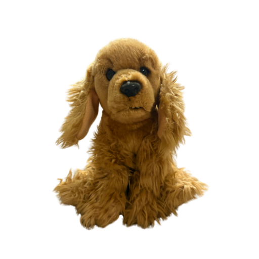 Signature Cocker Spaniel