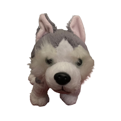 Siberian Husky