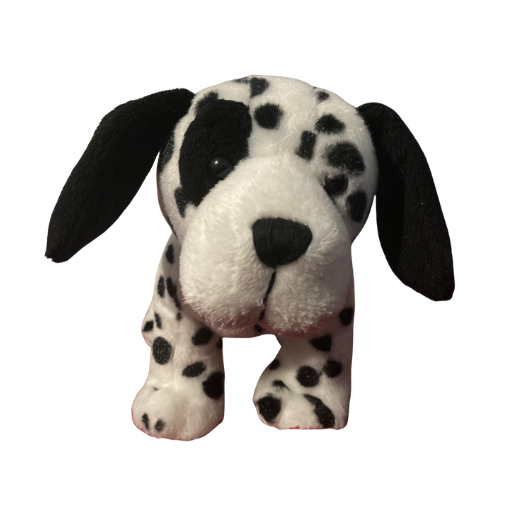 Salt and Pepper Dalmatian