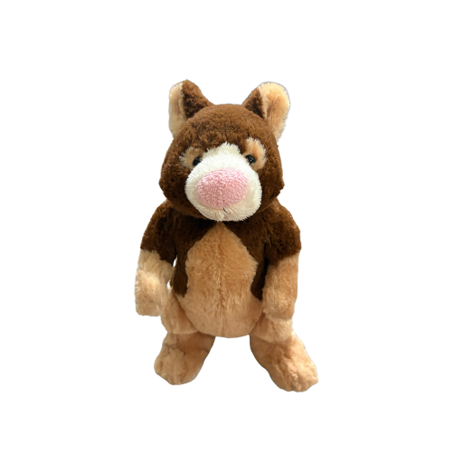 Tree Kangaroo