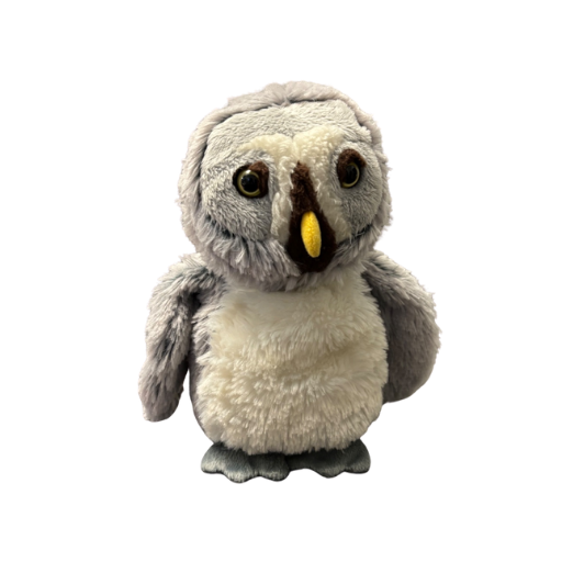 Grey Owl