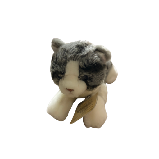 Small Signature Grey Tabby Cat