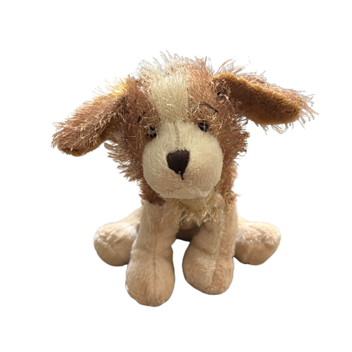 Cocker Spaniel
