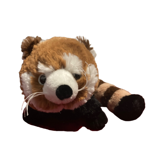 Red Panda