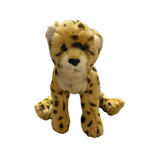 Signature Cheetah