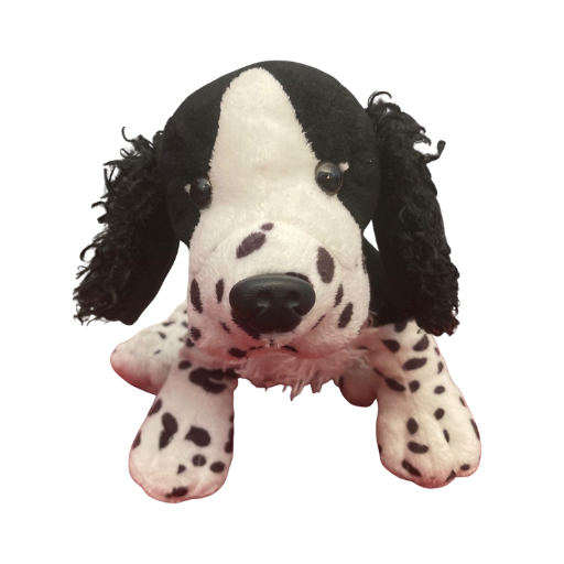 Black and White Springer