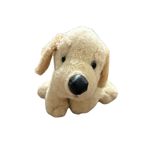 Yellow Lab