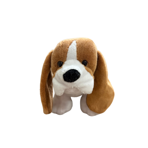 Basset Hound (2017)