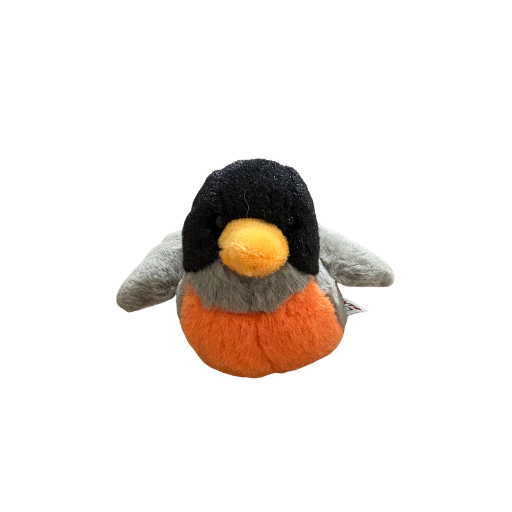 Lil'Kinz Robin