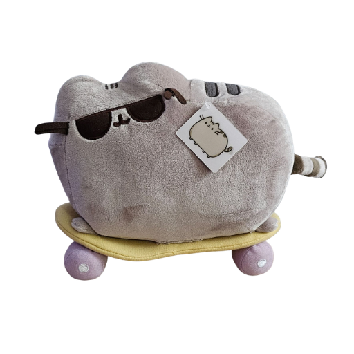 Skateboard Pusheen
