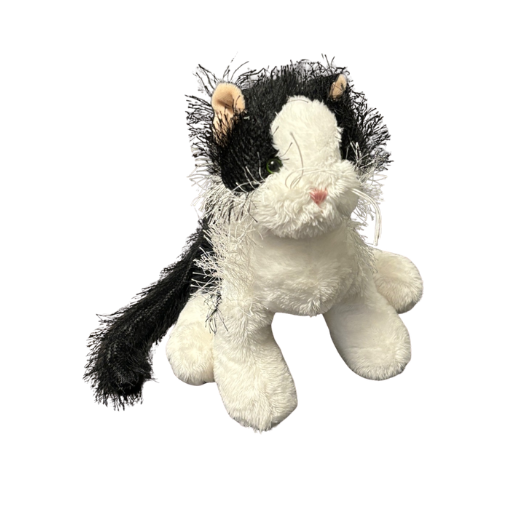 Black and White Cat