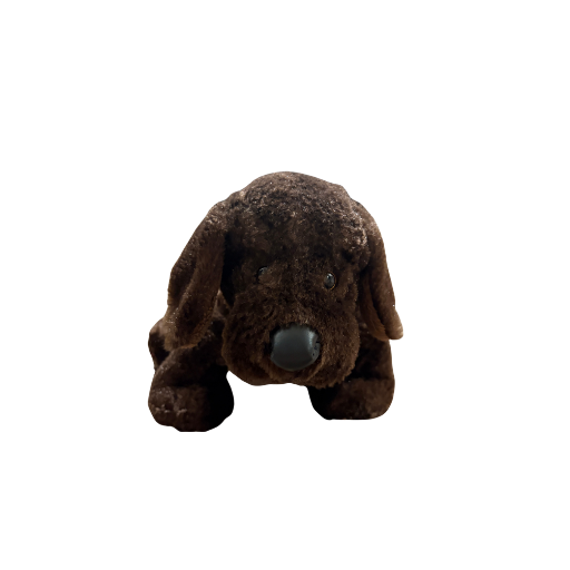 Chocolate Lab