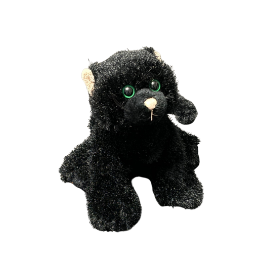 Black Cat