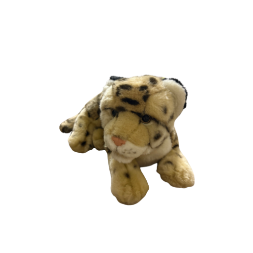Signature Endangered Clouded Leopard