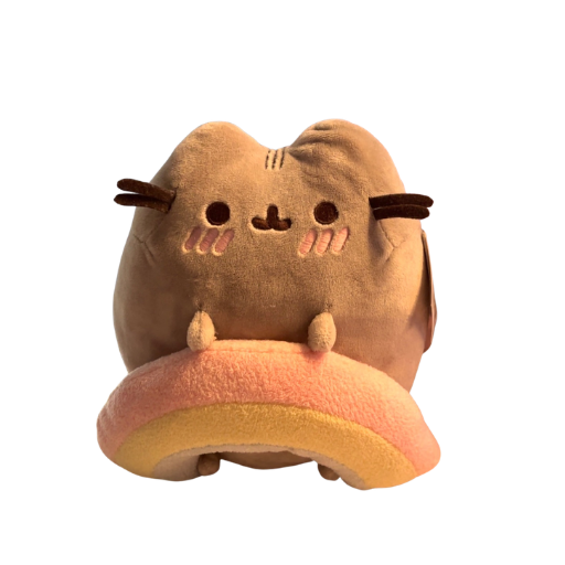 Pusheen With Rainbow Plush