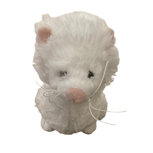 Snow Cap Ferret